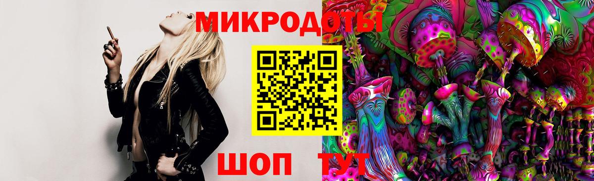 Галлюциногенные грибы Cubensis Белорецк