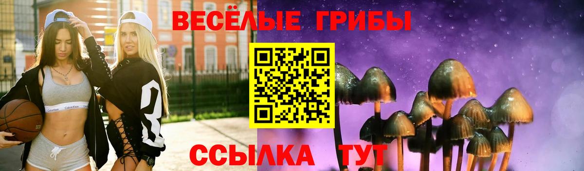 Белорецк  Псилоцибиновые грибы GOLDEN TEACHER  Вход с VPN 